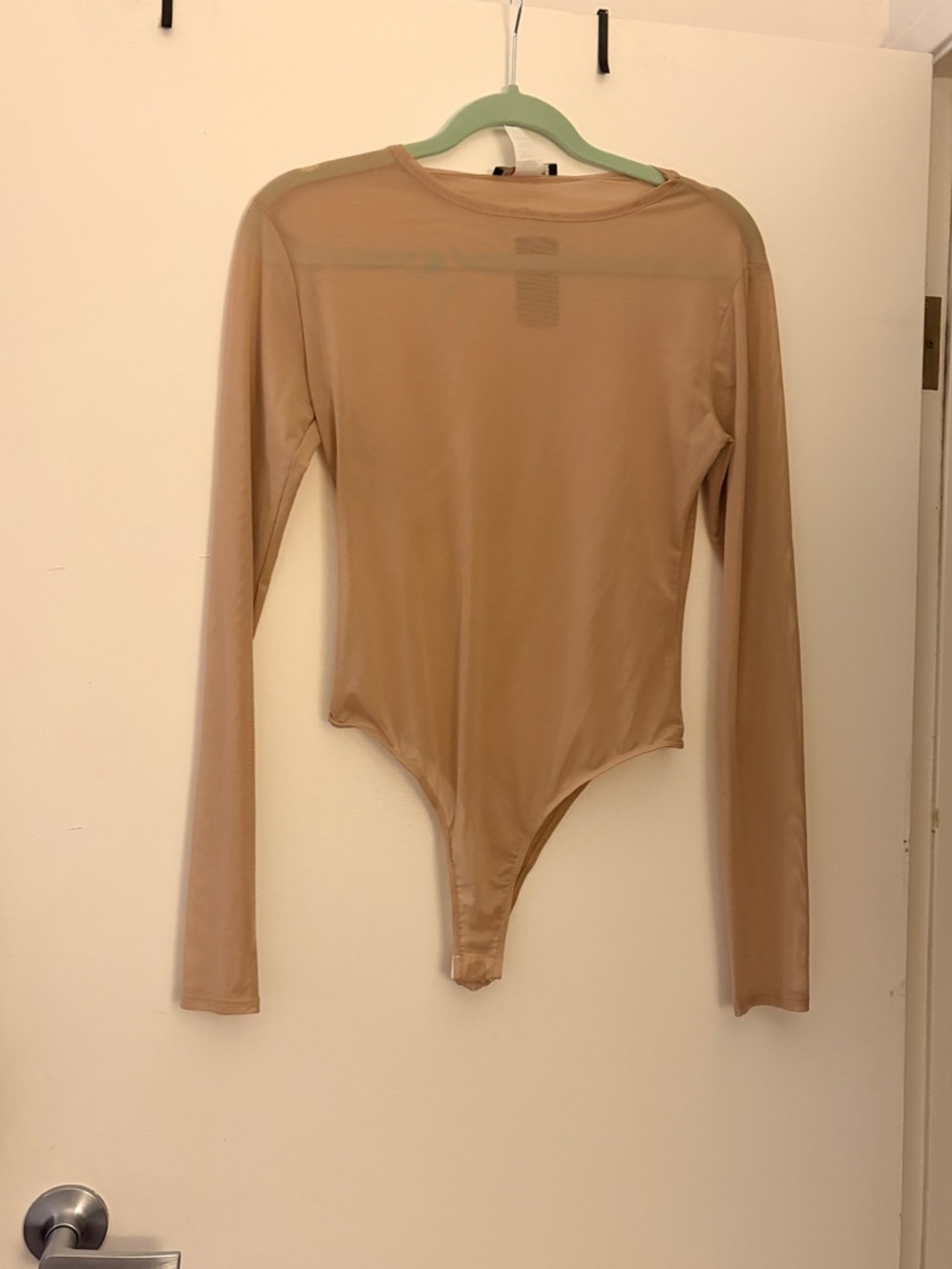 Forever 21 Nude Sheer Long-Sleeve Bodysuit